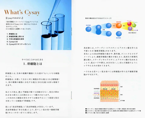 不活化幹細胞培養上清液（Cysay）について